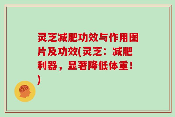 灵芝功效与作用图片及功效(灵芝:利器,显著降低体重!) 灵芝功效与作用图片及功效(灵芝:利器,显著降低体重!)