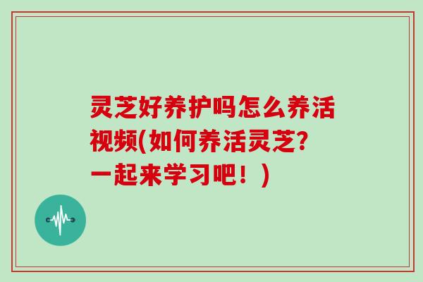 灵芝好养护吗怎么养活视频(如何养活灵芝?一起来学习吧!) 灵芝好养护吗怎么养活视频(如何养活灵芝?一起来学习吧!)
