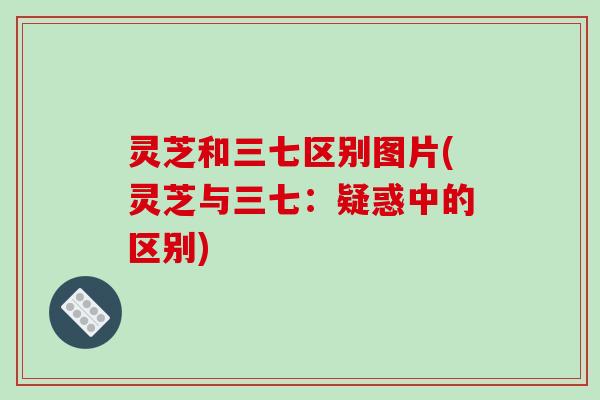 灵芝和三七区别图片(灵芝与三七:疑惑中的区别) 灵芝和三七区别图片(灵芝与三七:疑惑中的区别)