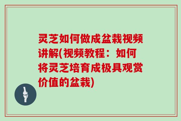 灵芝如何做成盆栽视频讲解(视频教程:如何将灵芝培育成极具观赏价值的盆栽) 灵芝如何做成盆栽视频讲解(视频教程:如何将灵芝培育成极具观赏价值的盆栽)