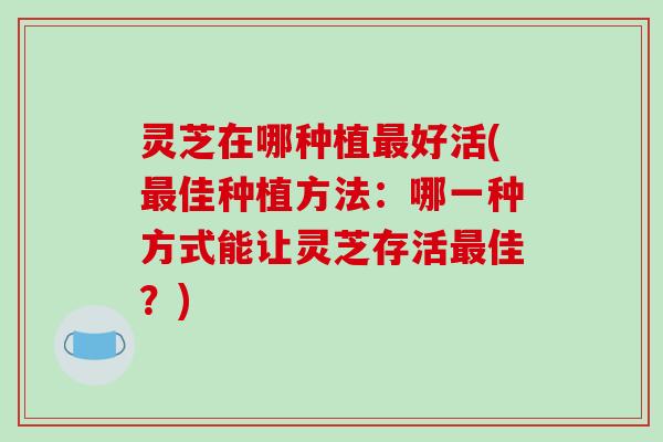 灵芝在哪种植好活(佳种植方法：哪一种方式能让灵芝存活佳？)