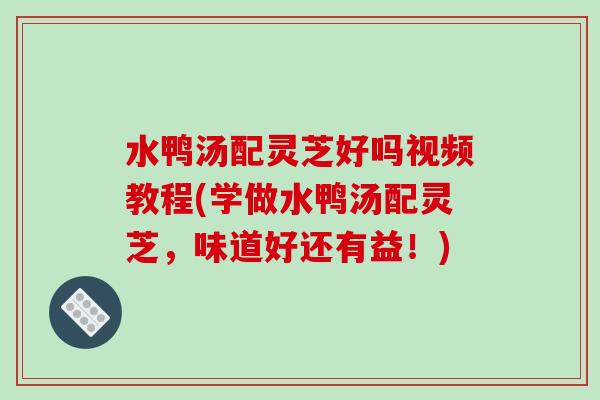 水鸭汤配灵芝好吗视频教程(学做水鸭汤配灵芝,味道好还有益!) 水鸭汤配灵芝好吗视频教程(学做水鸭汤配灵芝,味道好还有益!)