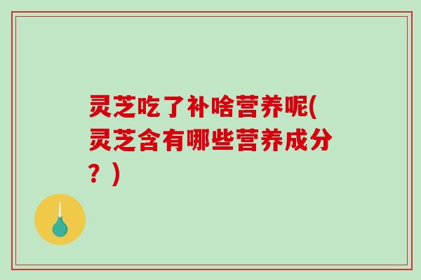 灵芝吃了补啥营养呢(灵芝含有哪些营养成分?) 灵芝吃了补啥营养呢(灵芝含有哪些营养成分?)