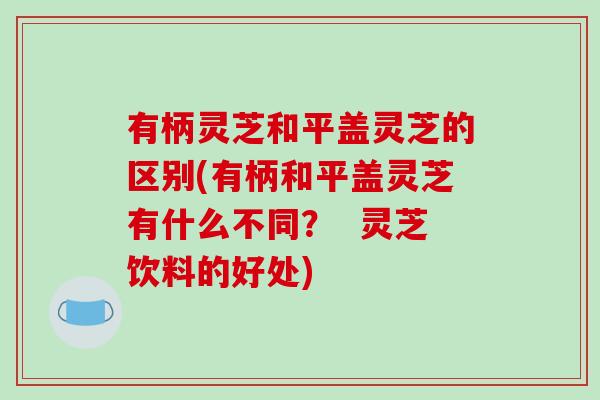 有柄灵芝和平盖灵芝的区别(有柄和平盖灵芝有什么不同? 灵芝饮料的好处) 有柄灵芝和平盖灵芝的区别(有柄和平盖灵芝有什么不同? 灵芝饮料的好处)