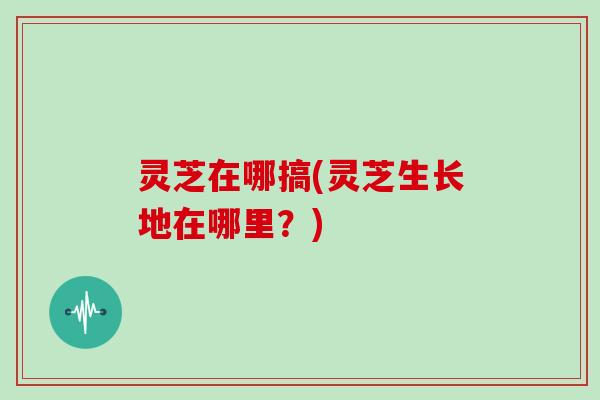 灵芝在哪搞(灵芝生长地在哪里?) 灵芝在哪搞(灵芝生长地在哪里?)