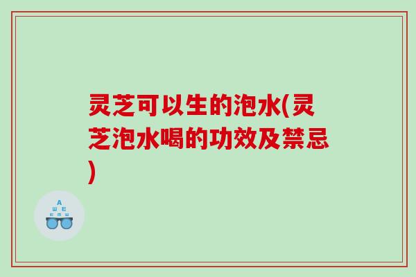 灵芝可以生的泡水(灵芝泡水喝的功效及禁忌)