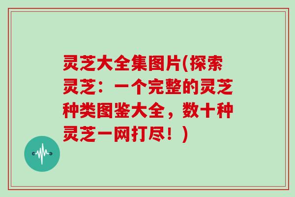 灵芝大全集图片(探索灵芝:一个完整的灵芝种类图鉴大全,数十种灵芝一网打尽!) 灵芝大全集图片(探索灵芝:一个完整的灵芝种类图鉴大全,数十种灵芝一网打尽!)