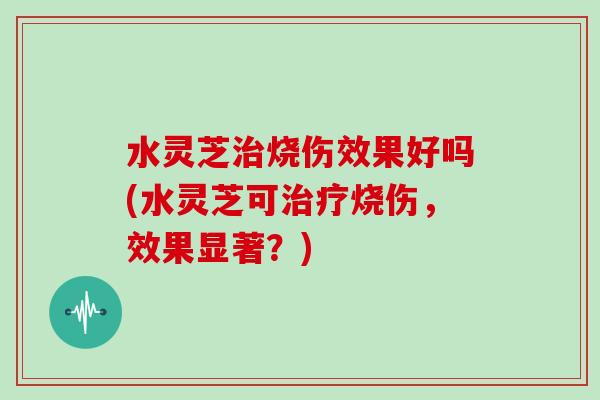 水灵芝烧伤效果好吗(水灵芝可烧伤,效果显著?) 水灵芝烧伤效果好吗(水灵芝可烧伤,效果显著?)