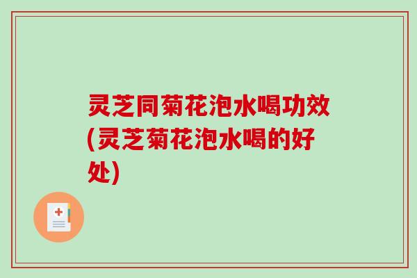 灵芝同菊花泡水喝功效(灵芝菊花泡水喝的好处) 灵芝同菊花泡水喝功效(灵芝菊花泡水喝的好处)