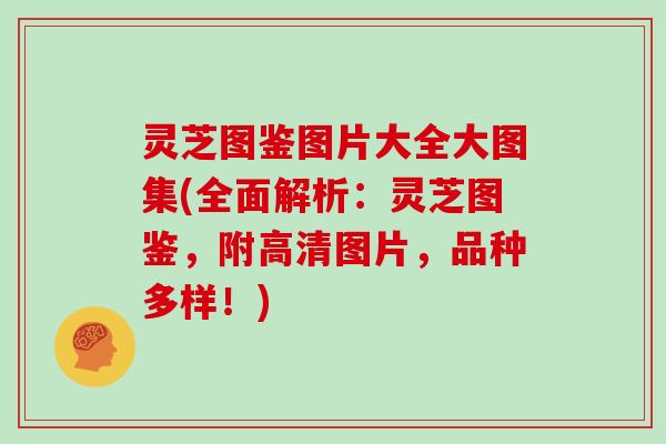灵芝图鉴图片大全大图集(全面解析:灵芝图鉴,附高清图片,品种多样!) 灵芝图鉴图片大全大图集(全面解析:灵芝图鉴,附高清图片,品种多样!)