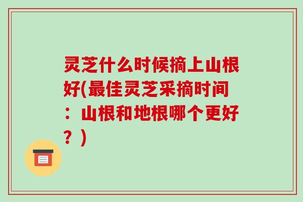 灵芝什么时候摘上山根好(佳灵芝采摘时间:山根和地根哪个更好?) 灵芝什么时候摘上山根好(佳灵芝采摘时间:山根和地根哪个更好?)