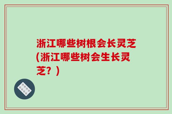 浙江哪些树根会长灵芝(浙江哪些树会生长灵芝？)