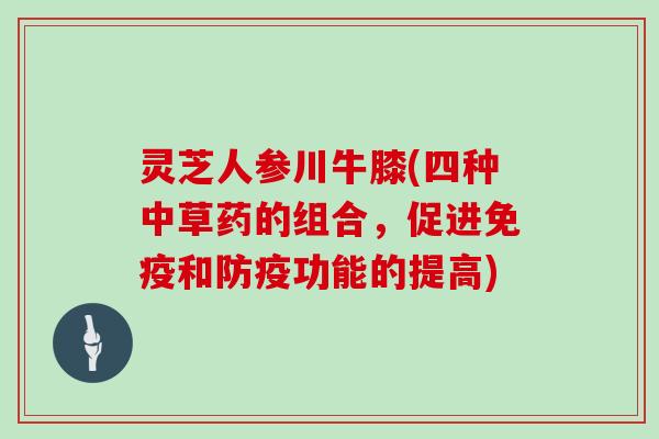 灵芝人参川牛膝(四种中草药的组合,促进免疫和防疫功能的提高) 灵芝人参川牛膝(四种中草药的组合,促进免疫和防疫功能的提高)