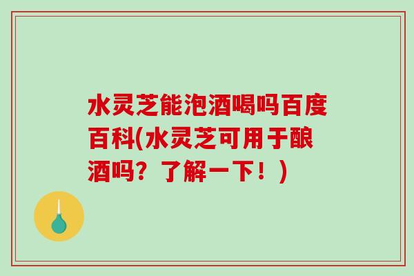 水灵芝能泡酒喝吗百度百科(水灵芝可用于酿酒吗？了解一下！)