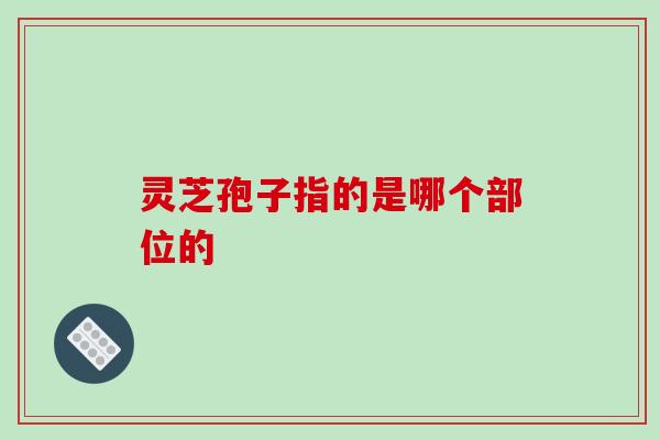 灵芝孢子指的是哪个部位的 灵芝孢子指的是哪个部位的