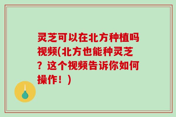 灵芝可以在北方种植吗视频(北方也能种灵芝?这个视频告诉你如何操作!) 灵芝可以在北方种植吗视频(北方也能种灵芝?这个视频告诉你如何操作!)