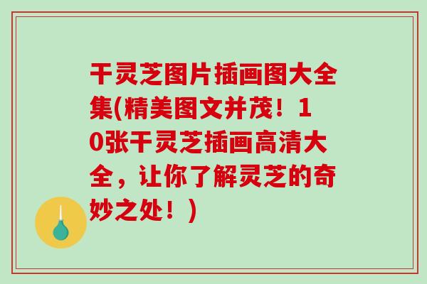 干灵芝图片插画图大全集(精美图文并茂!10张干灵芝插画高清大全,让你了解灵芝的奇妙之处!) 干灵芝图片插画图大全集(精美图文并茂!10张干灵芝插画高清大全,让你了解灵芝的奇妙之处!)