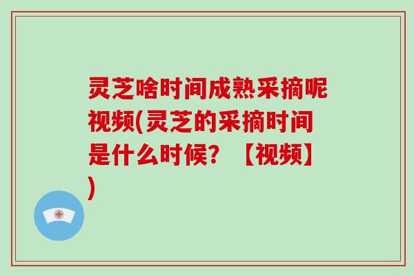 灵芝啥时间成熟采摘呢视频(灵芝的采摘时间是什么时候?【视频】) 灵芝啥时间成熟采摘呢视频(灵芝的采摘时间是什么时候?【视频】)