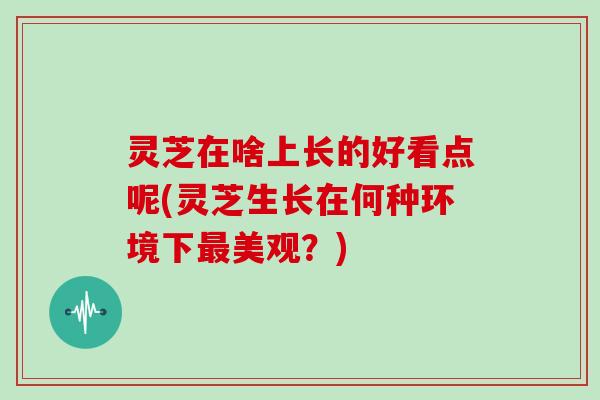 灵芝在啥上长的好看点呢(灵芝生长在何种环境下美观?) 灵芝在啥上长的好看点呢(灵芝生长在何种环境下美观?)