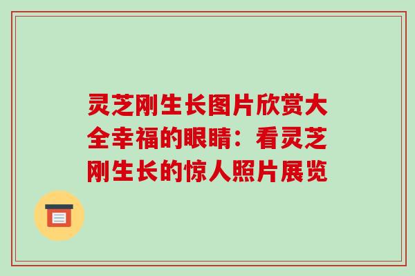 灵芝刚生长图片欣赏大全幸福的眼睛:看灵芝刚生长的惊人照片展览 灵芝刚生长图片欣赏大全幸福的眼睛:看灵芝刚生长的惊人照片展览
