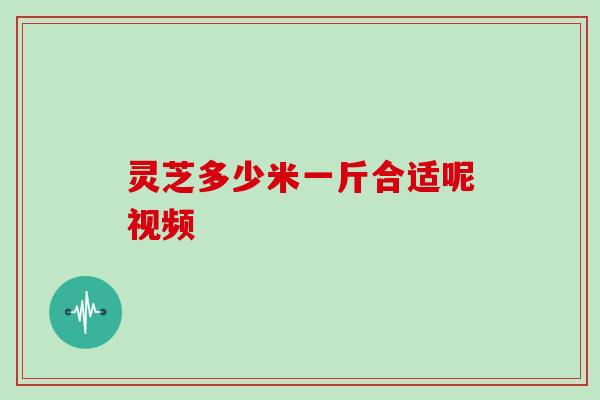 灵芝多少米一斤合适呢视频 灵芝多少米一斤合适呢视频