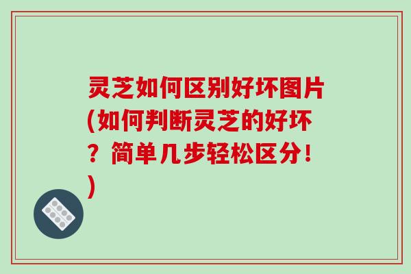 灵芝如何区别好坏图片(如何判断灵芝的好坏?简单几步轻松区分!) 灵芝如何区别好坏图片(如何判断灵芝的好坏?简单几步轻松区分!)