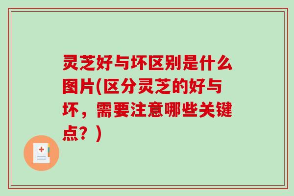 灵芝好与坏区别是什么图片(区分灵芝的好与坏,需要注意哪些关键点?) 灵芝好与坏区别是什么图片(区分灵芝的好与坏,需要注意哪些关键点?)