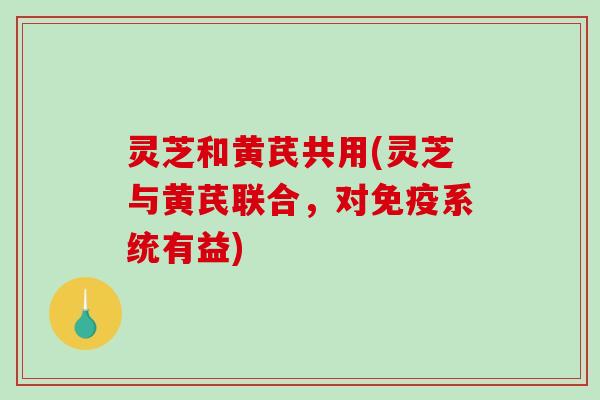 灵芝和黄芪共用(灵芝与黄芪联合,对免疫系统有益) 灵芝和黄芪共用(灵芝与黄芪联合,对免疫系统有益)