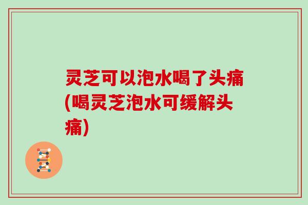 灵芝可以泡水喝了头痛(喝灵芝泡水可缓解头痛) 灵芝可以泡水喝了头痛(喝灵芝泡水可缓解头痛)