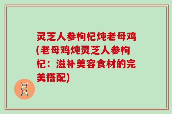 灵芝人参枸杞炖老母鸡(老母鸡炖灵芝人参枸杞:滋补美容食材的完美搭配) 灵芝人参枸杞炖老母鸡(老母鸡炖灵芝人参枸杞:滋补美容食材的完美搭配)