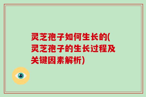 灵芝孢子如何生长的(灵芝孢子的生长过程及关键因素解析) 灵芝孢子如何生长的(灵芝孢子的生长过程及关键因素解析)