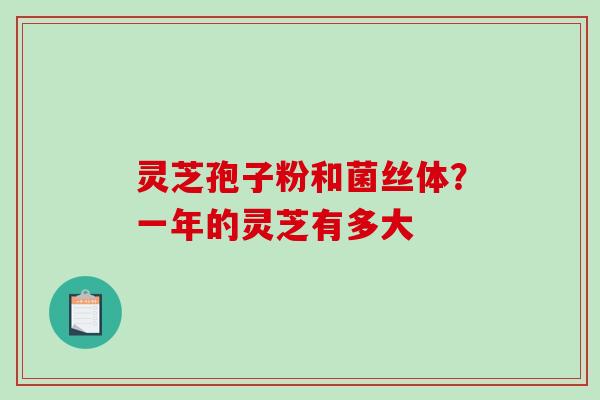 灵芝孢子粉和菌丝体?一年的灵芝有多大 灵芝孢子粉和菌丝体?一年的灵芝有多大