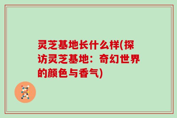 灵芝基地长什么样(探访灵芝基地：奇幻世界的颜色与香气)