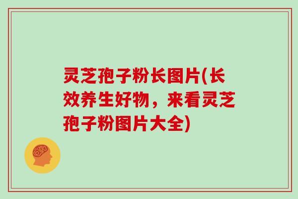 灵芝孢子粉长图片(长效养生好物,来看灵芝孢子粉图片大全) 灵芝孢子粉长图片(长效养生好物,来看灵芝孢子粉图片大全)