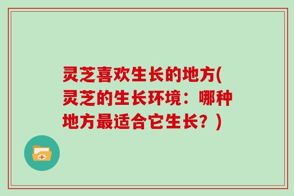 灵芝喜欢生长的地方(灵芝的生长环境:哪种地方适合它生长?) 灵芝喜欢生长的地方(灵芝的生长环境:哪种地方适合它生长?)