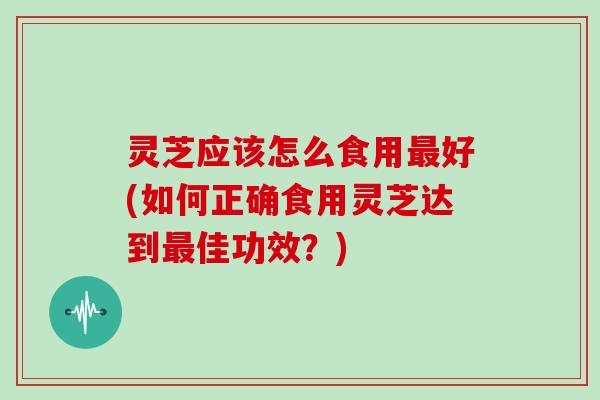 灵芝应该怎么食用好(如何正确食用灵芝达到佳功效?) 灵芝应该怎么食用好(如何正确食用灵芝达到佳功效?)
