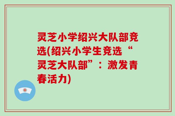 灵芝小学绍兴大队部竞选(绍兴小学生竞选“灵芝大队部”：激发青春活力)