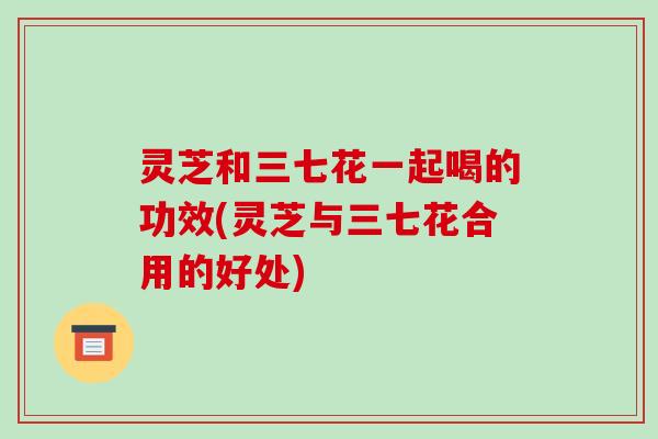 灵芝和三七花一起喝的功效(灵芝与三七花合用的好处) 灵芝和三七花一起喝的功效(灵芝与三七花合用的好处)