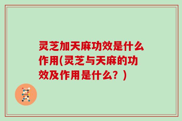 灵芝加天麻功效是什么作用(灵芝与天麻的功效及作用是什么？)