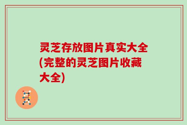 灵芝存放图片真实大全(完整的灵芝图片收藏大全)