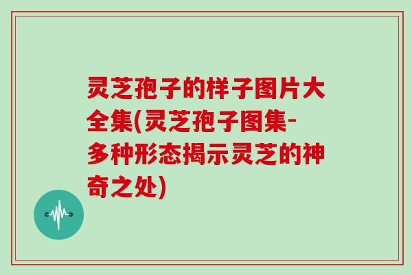 灵芝孢子的样子图片大全集(灵芝孢子图集-多种形态揭示灵芝的神奇之处) 灵芝孢子的样子图片大全集(灵芝孢子图集-多种形态揭示灵芝的神奇之处)