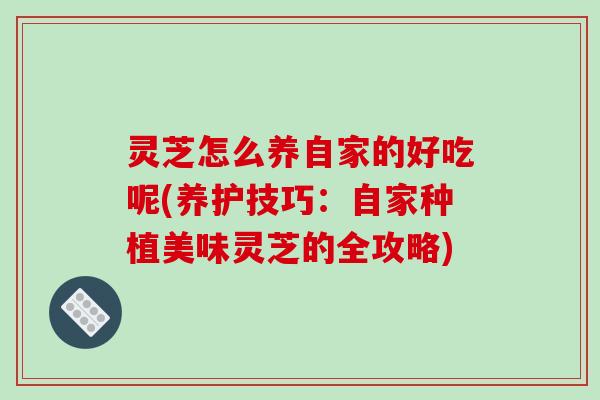 灵芝怎么养自家的好吃呢(养护技巧：自家种植美味灵芝的全攻略)