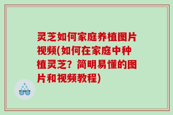 灵芝如何家庭养植图片视频(如何在家庭中种植灵芝？简明易懂的图片和视频教程)