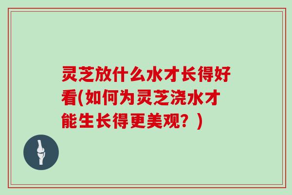 灵芝放什么水才长得好看(如何为灵芝浇水才能生长得更美观?) 灵芝放什么水才长得好看(如何为灵芝浇水才能生长得更美观?)