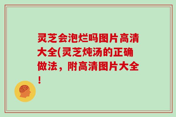 灵芝会泡烂吗图片高清大全(灵芝炖汤的正确做法,附高清图片大全! 灵芝会泡烂吗图片高清大全(灵芝炖汤的正确做法,附高清图片大全!