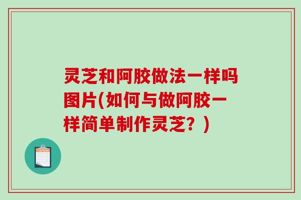 灵芝和阿胶做法一样吗图片(如何与做阿胶一样简单制作灵芝?) 灵芝和阿胶做法一样吗图片(如何与做阿胶一样简单制作灵芝?)