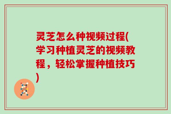 灵芝怎么种视频过程(学习种植灵芝的视频教程,轻松掌握种植技巧) 灵芝怎么种视频过程(学习种植灵芝的视频教程,轻松掌握种植技巧)