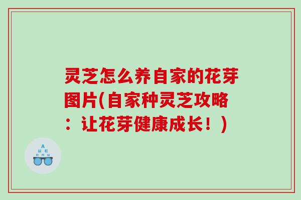 灵芝怎么养自家的花芽图片(自家种灵芝攻略:让花芽健康成长!) 灵芝怎么养自家的花芽图片(自家种灵芝攻略:让花芽健康成长!)