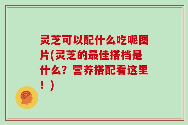 灵芝可以配什么吃呢图片(灵芝的佳搭档是什么?营养搭配看这里!) 灵芝可以配什么吃呢图片(灵芝的佳搭档是什么?营养搭配看这里!)