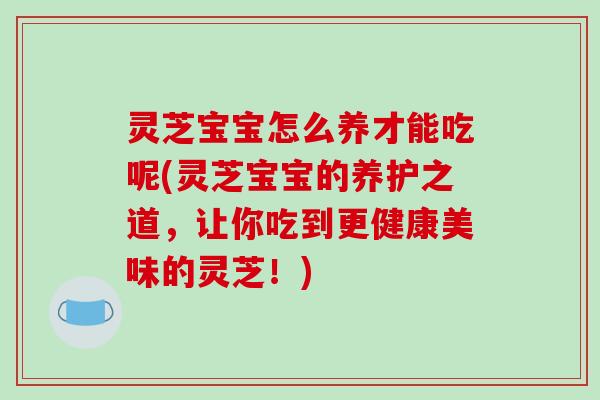 灵芝宝宝怎么养才能吃呢(灵芝宝宝的养护之道,让你吃到更健康美味的灵芝!) 灵芝宝宝怎么养才能吃呢(灵芝宝宝的养护之道,让你吃到更健康美味的灵芝!)